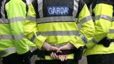 Woman with &lsquo;good record&rsquo; told public and garda&iacute; to &lsquo;f*** off&rsquo; at Limerick garda station
