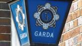 Witnesses sought following unusual theft from car-park of Shannon Airport