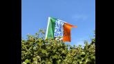 'Get them out': Gardaí launch probe into 'racist wording' on Irish tricolour flag