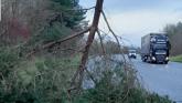 Council crews response to multiple Storm Bram incidents in Limerick
