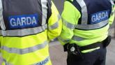 Man and woman arrested after alleged assault of two members of gardai