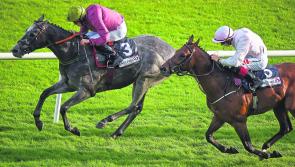 THE PUNTER'S EYE: Galway Races Day 5 Tips - Friday