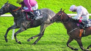 THE PUNTER'S EYE: Galway Races Tips - Day 2
