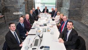 WATCH: ‘Up, up and away’ - Limerick’s Gardens International hosts first meeting