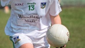 Limerick face Fermanagh in bid to reach All-Ireland Ladies Football Final