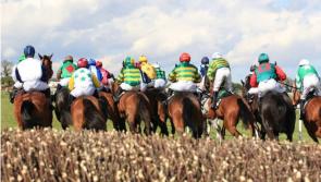 BETTING: Punchestown Festival Tips - Day 2