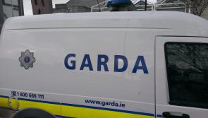 Man arrested following burglary at home in Limerick city