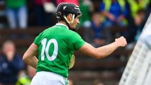Limerick hurlers 'back on track' in Munster SHC insists Gearoid Hegarty 