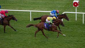 Limerick jockey Chris Hayes in the winners' enclosure