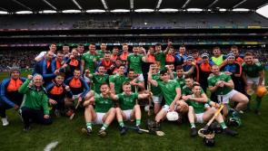 Nine All Star hurling nominations for Limerick after Munster SHC and League title wins