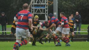 WATCH: How the Limerick sides fared on dramatic opening day in All-Ireland League