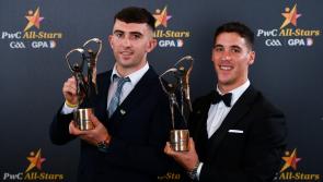 SLIDESHOW: Limerick hurlers receive PwC hurling All-Stars