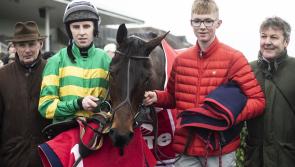 WATCH: Limerick trained and owned Ballyoisin wins €45,000 Grade 2 Fortria Chase