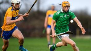 WATCH: Match highlights of Limerick's impressive Munster League win over Clare
