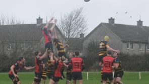 WATCH: Five Limerick clubs record precious All-Ireland League wins