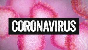 46 patients with Covid-19 at Limerick hospital; a further 31 await test results