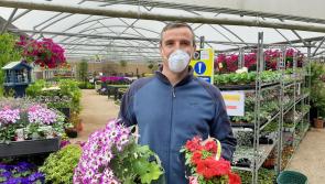 WATCH:  Cocooners flock to Limerick garden centres and DIY stores as Covid restrictions are eased