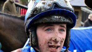 Limerick racing enthusiasts enjoy fine run of form