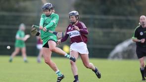 SLIDESHOW: Limerick's All-Ireland camogie championship clash with Westmeath 