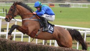 It's winner alright for Limerick racing connections