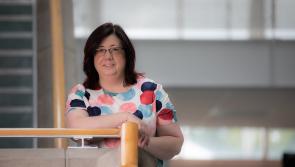 Advice for Limerick students as CAO deadline approaches