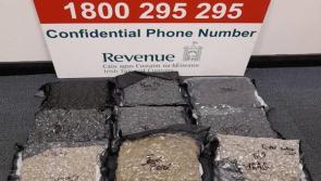 Revenue seize almost €100k worth of drugs at Shannon Airport