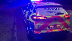 WATCH: Gardaí chase van driving in wrong direction on motorway