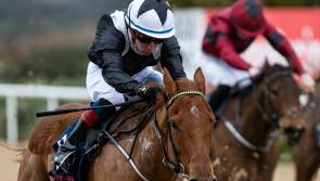 Rugby star Keith Earls congratulates Moyross jockey Wesley Joyce after eye-catching debut