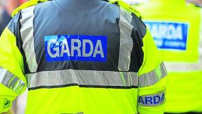 Five people arrested in relation to discovery of drugs worth over €600,000