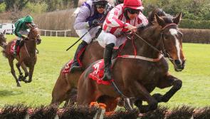 Winners flow for Limerick jockeys on the track