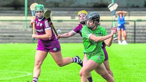 Limerick camogie side to face Kilkenny in league quarter-final named