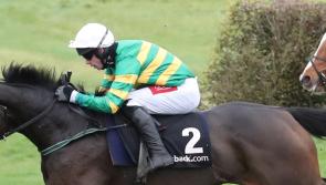 Limerick racing enthusiasts enjoy bumper spell on the track