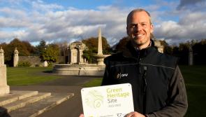 Ireland’s best public parks and gardens awarded green flags 