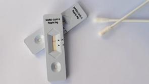 Antigen testing will be available for primary school students by the end of November