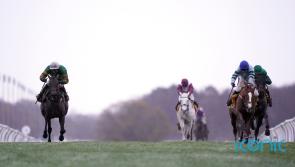 Epatante and Not So Sleepy set for rematch in Christmas Hurdle 