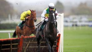 Hillcrest has Prestige option after Cheltenham mishap