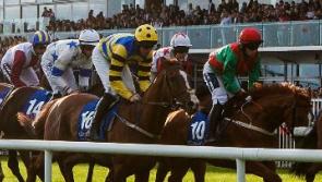 Under starter's orders for Galway Summer Racing Festival 