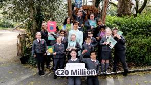 School libraries in Ireland to receive €20million for 'highest quality' books