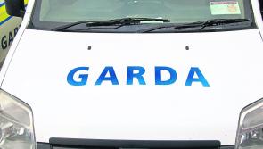 Gardaí arrest two people for public order offences in Limerick town