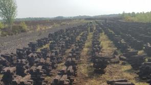 'Common sense' solution on turf cutting welcomed as solid fuel regulations are agreed