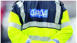 WARNING: Gardai issue advice after  counterfeit coins seized