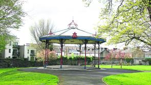 Wildlife About Wildlife: Exploring the People’s Park in Limerick 