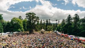 First 20 artists announced for popular Irish music and arts festival