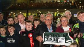 In Pictures: Big crowds watch Con & Annie Kirby Memorial final in Limerick Greyhound Stadium