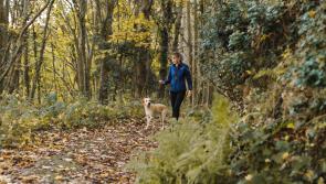 Wild About Wildlife: Exploring an exciting townland  