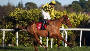 PUNCHESTOWN TIPS: All the best bets for Day 4 - Friday, April 28