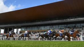 RESULTS: Day one Irish Derby racing results from the Curragh - all you need to know!
