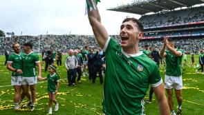 WATCH: Barry Nash reacts to Limerick's All-Ireland final win over Kilkenny