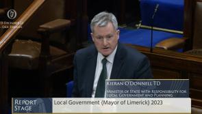 Directly-Elected Mayor for Limerick Bill advances to Seanad 
