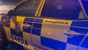 Gardaí appeal for witnesses after incident of arson on New Year's Eve